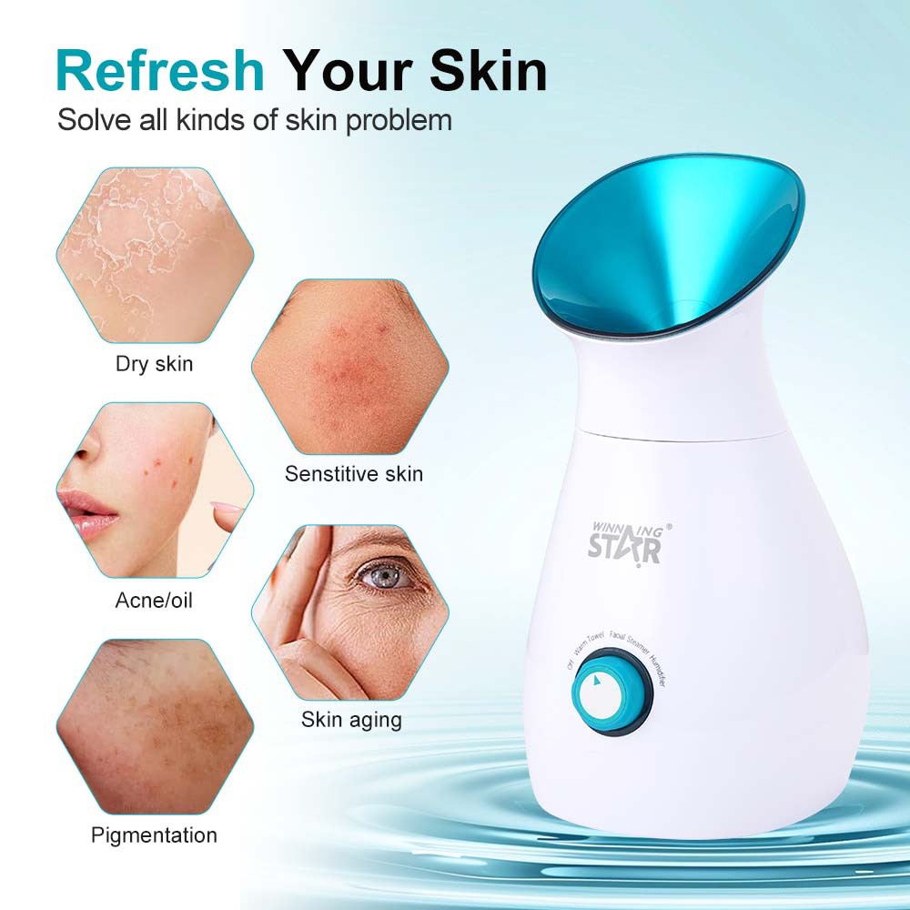 Winning Star Home Facial Beauty Caliente Vaporizador facial Instrumento de hidratación Nano Spray Humidificador Vaporizador facial image 3