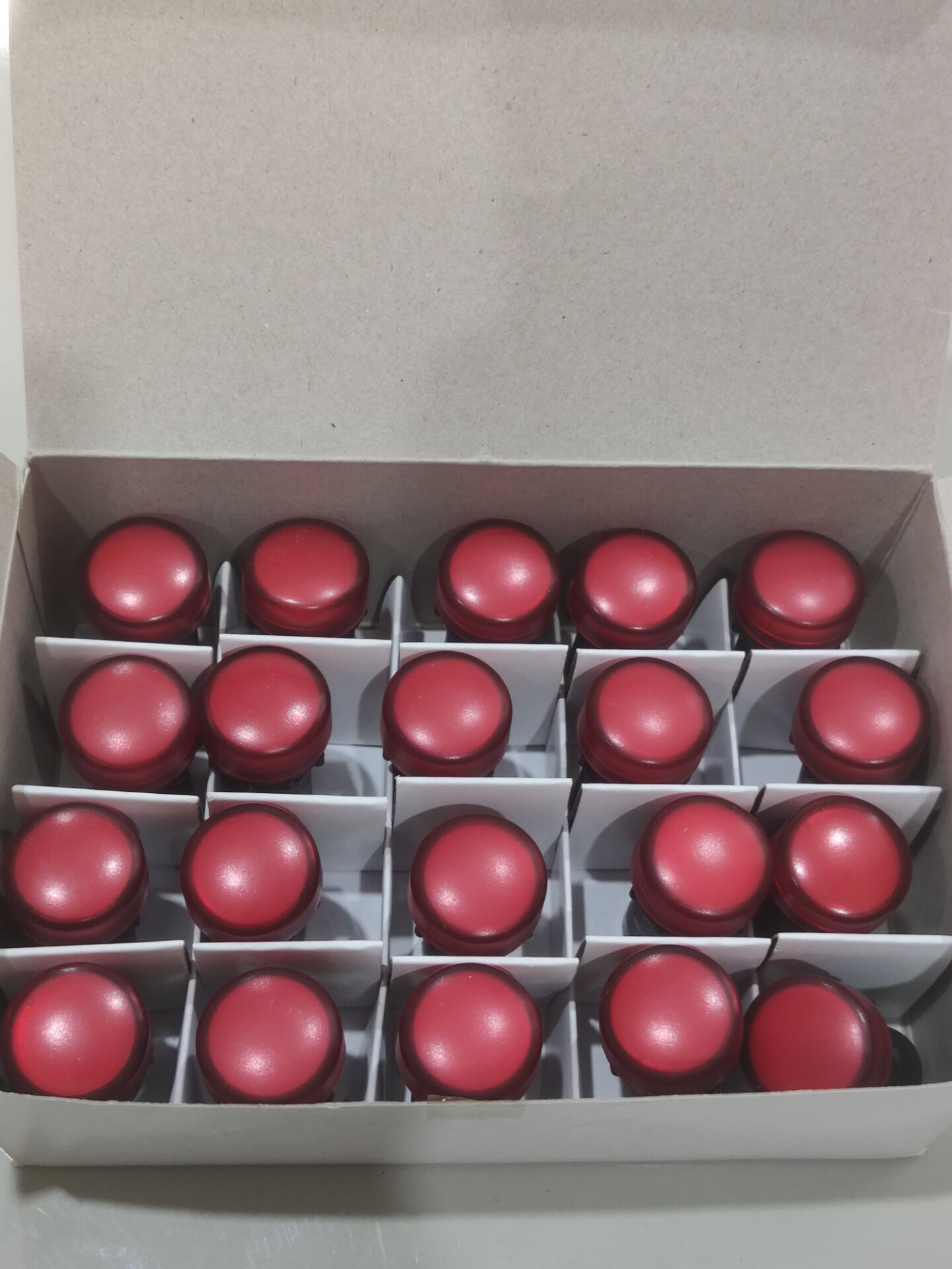 指示灯 E22R-ER-24A