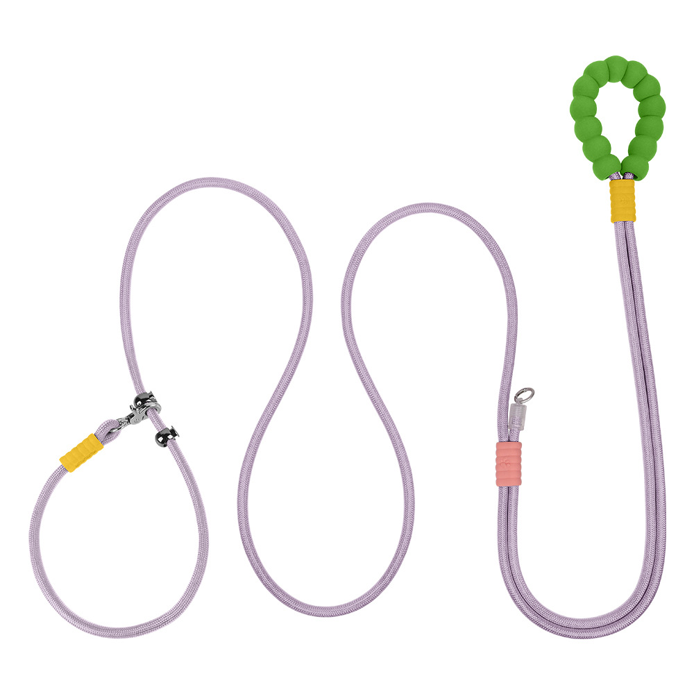 보라색 다채로운