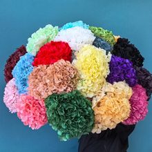 永生花大叶绣球A级跨境亚马逊真花干花手工diy云南源头工厂直发