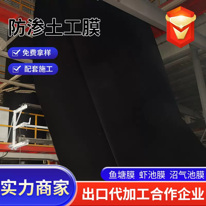 土工膜电厂尾渣污水处理加厚防渗膜化工垃圾填埋场水库防渗土工膜