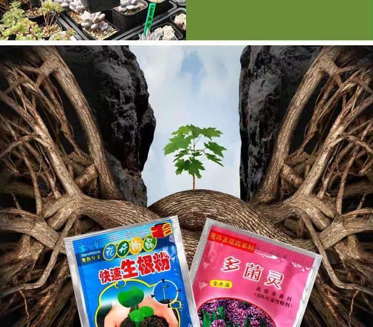 e518857f-1d96-4544-b054-2089a0e7864c.jpe