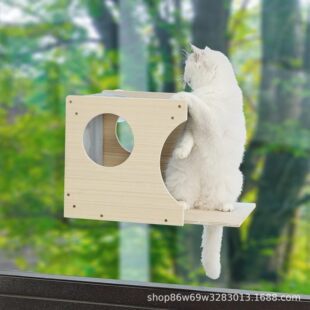 ľ�|�ڒ�؈�C�ļ�ͨ�L؈���������؈��ĥצ��؈��������һ؈����