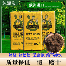 ��Ó�S���M����̿�������¼��m���Gֲ�������ԠI�B������̿���