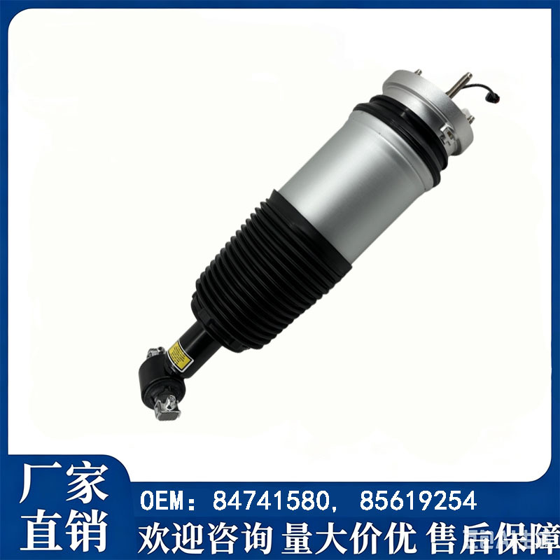 84741580/85619254/85619249/22358405/23150192 Shock Absorbers Factory Stock