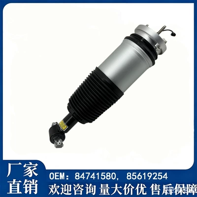 84741580/85619254/85619249/22358405/23150192 Shock damping system