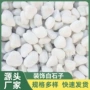 湘西庭院定制铺路白石子