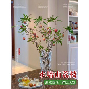 ɽ��֦�r�������ֱ�lˮ��ֲ���r�в��}ǧ�ӽ��D÷�҃���˼��ˮ�B