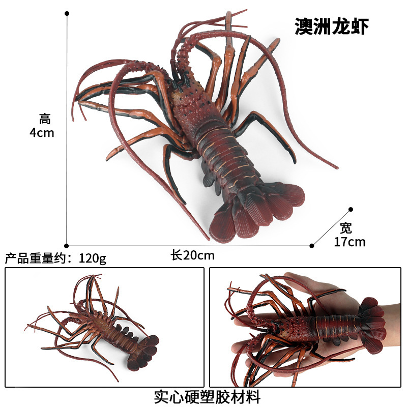 O1CN0171accL1qIDxaoxoyn_!!2916