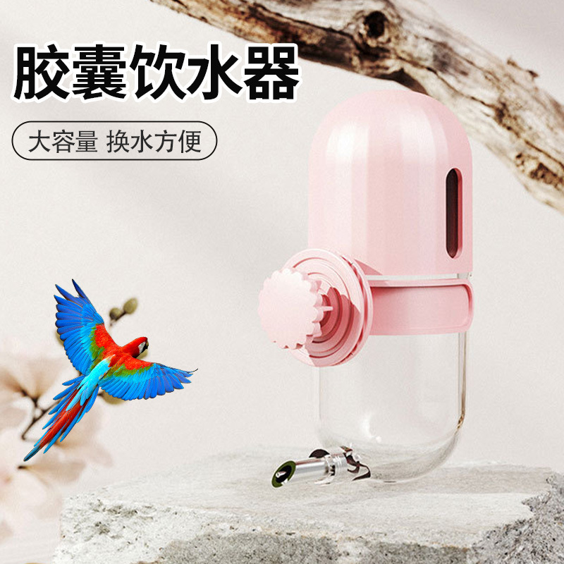 鹦鹉小宠饮水器撞针胶囊式水壶防漏防溅防污染小太阳鸟用喝水神器