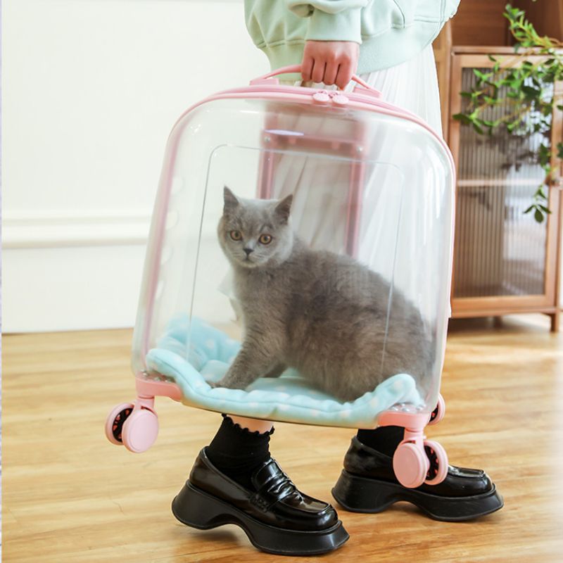 Caja de tracción de mascotas para salir, maleta de gato transparente portátil, dos cajas de transporte de perros de doble capa de gran capacidad