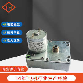 天恒微型减速电机 宁波易顺 流量表电动调节阀 直流减速电机