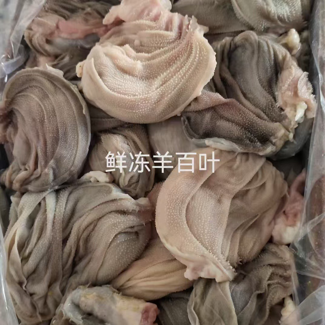 供应火锅店牛百叶 汇鑫鲜冻羊百叶10斤一袋真空包装40斤一箱批发