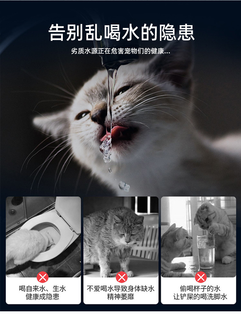 中文详情_04.jpg