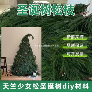 ������Ů�ɘ�֦�}�Q��DIY�����}�Q���h�҃�ˮ��ֲ���r�����ֱ�l