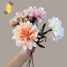 �����֧������ �����ռٻ����^Ұ�ջ�c���Ļ�Y���b��̈@ˇ