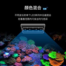 新款A+智控A8S全光谱海水灯215w大功率xr30海水灯A8珊瑚灯海水灯