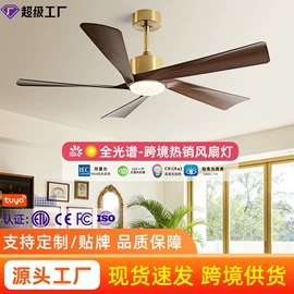 风扇灯;吊扇