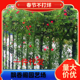 һ�����l���ٻ��N�׻��������~�\�}����ǻ���ͥԺ�ļ��_���^�pֲ