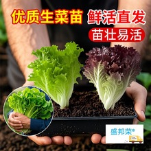 �������������玧��������_�Rˮ�ஔ���߮a�̨�Nֲ�߲�ֲ������