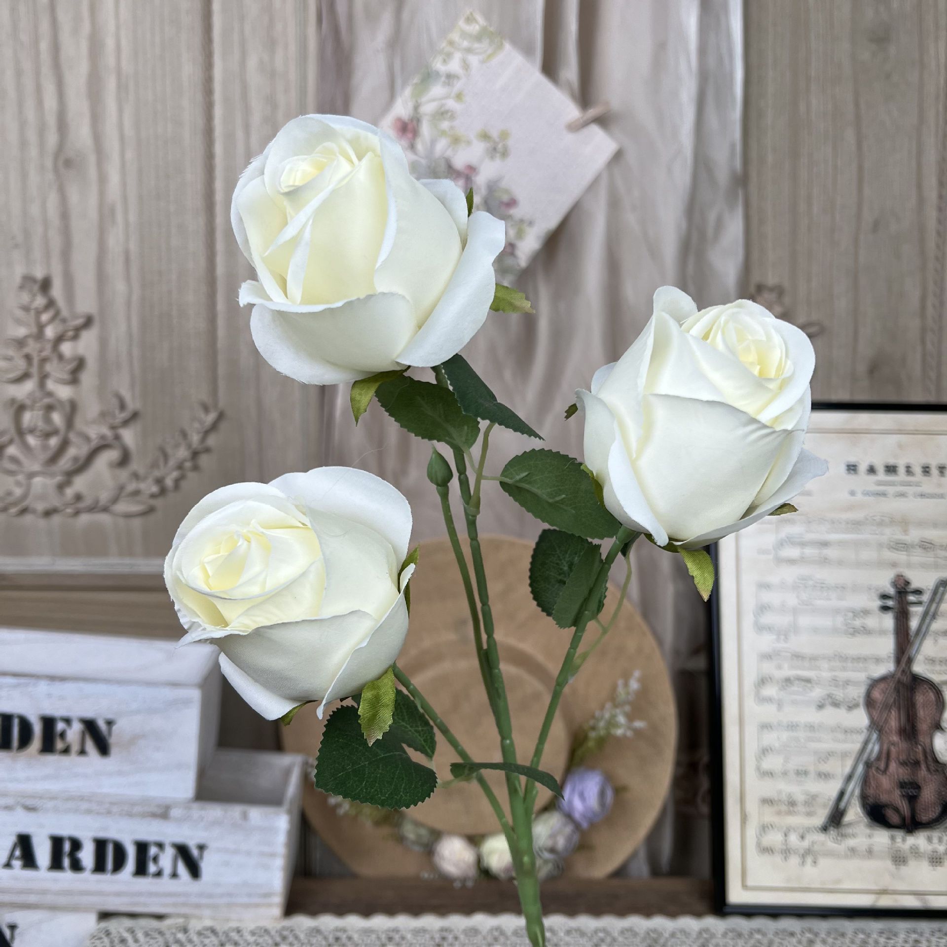 K-3 Querida Rosas-Branco
