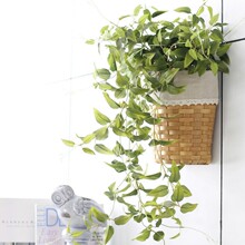 �F�����m�Gɫֲ�ﴹ���~���滨���X�~�ٻ����y���~�G�}�G�����ٗl