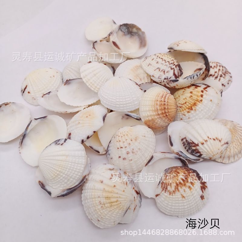 IMG_20210903_140115_副本