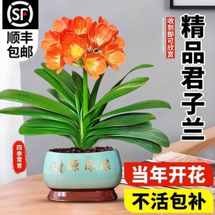 �����m���Ԏ������l؛�҃Ⱦ�Ʒ���Fֲ���ļ��_���͏d���B���r����