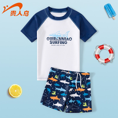 Elegant birds children Swimsuit summer new pattern Boy Fission Quick drying Swimming suit Sandy beach Sunscreen Swimming suit wholesale