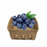 Биоразлагаемый лоток для свежих продуктов, упаковка для фруктов, бумажная пластиковая упаковка, коробка для фруктов и овощей, лоток для черники, лоток для фруктов из целлюлозы