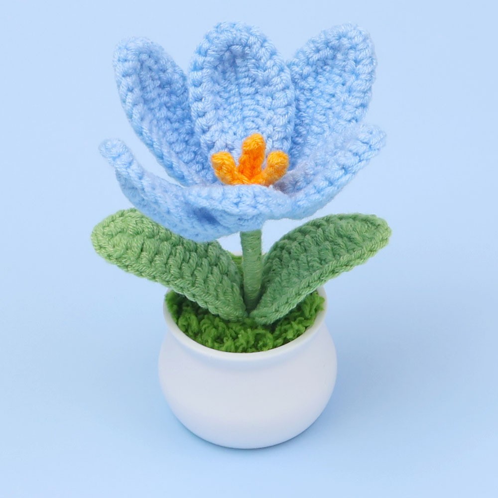 Azul - maceta de tulipanes florecidos (maceta blanca)