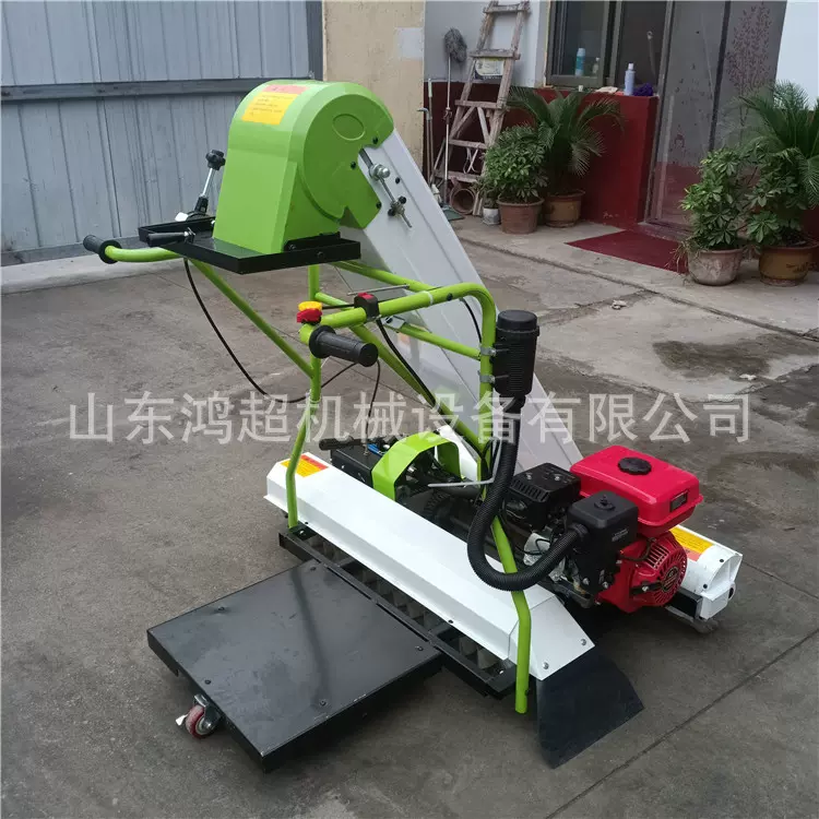 晒场小麦谷子装袋机 收粮食稻谷灌袋机汽油收谷机