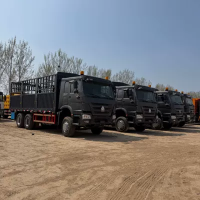 Exported to Africa: Howo Engineering Yük maşınları