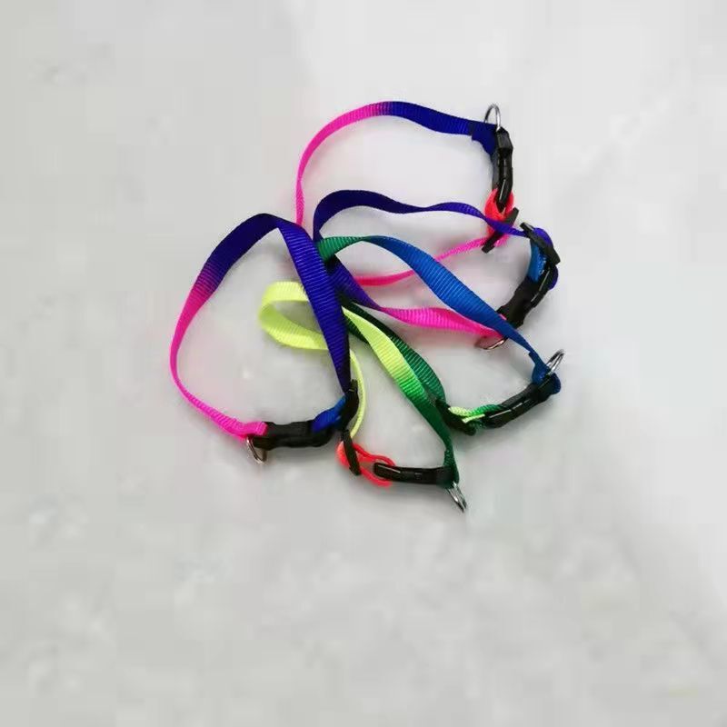 犬用リード、猫用お出かけバックパック、チェーンI字型バック、中小型犬用ハーネス、犬用リード、ペット用品|undefined