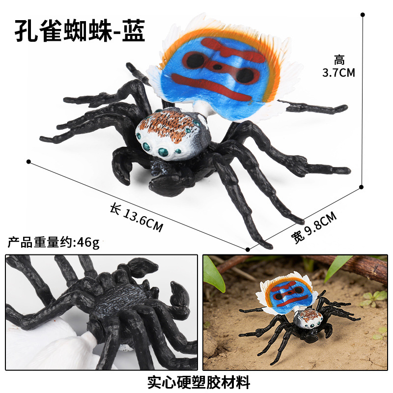 2879 araña de pavo real (azul)