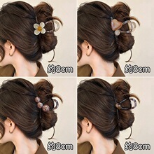 С̖�^�lץ�AŮ�l���پ��¸߼���2026�¿���X�װl�A���~�A���^�