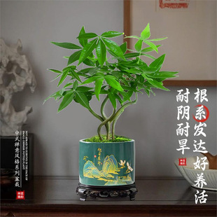 2025�¿�lؔ��С���Կ͏d�k�����_�I�ͶY��ؔ�辰�帣����ʽ�Gֲ