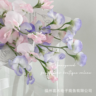 �����Ʒ�|�㶹�� �ձ�ֲë���㶹 ���W�Ҿ��b� ֱ����Ʒ ins�L