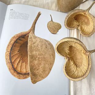 手工制作植物工艺品DIY材料包|1688端午父亲节礼物推荐