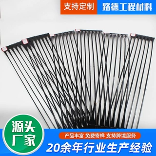 单向土工格栅厂家 高密度聚乙烯HDPE护坡土工格栅 单向塑料格栅