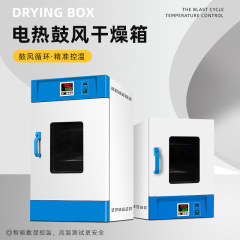 電熱恒温送風乾燥箱オーブン工業ヘッドライトオーブン五穀乾燥箱実験室老化箱qs