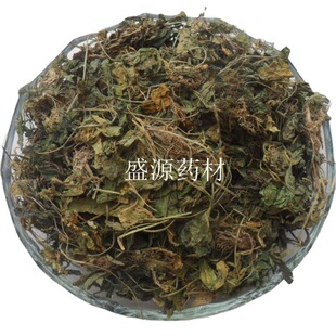 ��ș���Ϸ��� ������ ���� �Ϸ��� �����\ �׵��S�� �ذײ�Ұ�ײ�