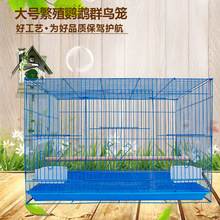 �羳���ó����B�\��̖��ֳ�W�^Ⱥ��Ⱥ�\��Ƥ���ӷ��ͻ\����Ⱥ�B�\