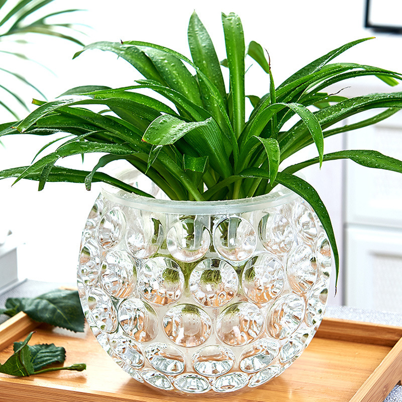Creative glass vase water plant bottle simple hydroponic vessel transparent flower vessel pothos copper money grass flower pot wholesale