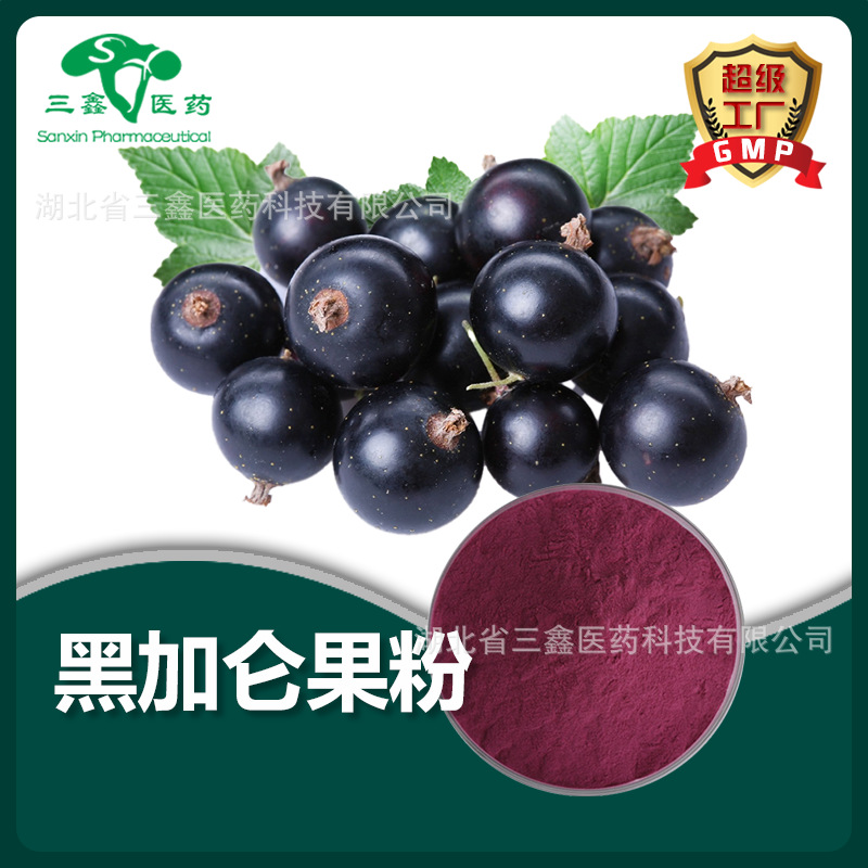 黑加仑果粉99% 黑加仑萃取果汁粉食品级营养粉剂干燥喷雾黑加仑粉