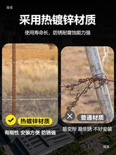 䓽z���K�̽z�������������F�z�F��޼���I�F�̑�����P�F�z�W����