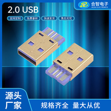 AM 2.0焊线式公头大电流紫色胶芯外壳镀金2.0 USB焊线一体式公头