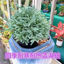 �{ɫ�������{���ػ��Rֲ��ͥԺ������Զ������ͺ��͟��B�o�ܺ���