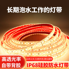 超高輝度 12 V/24 V 低電圧ライトストリップ LED シリコーン充填屋外防水エンジニアリング商業照明船舶ライトストリップ