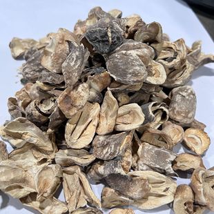 �ݹ���؛�o��Ѭ����؛�����Ҝ����೬���